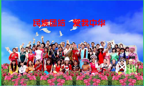 民族团结爱我中华（重阳秋林） 截图 8/8