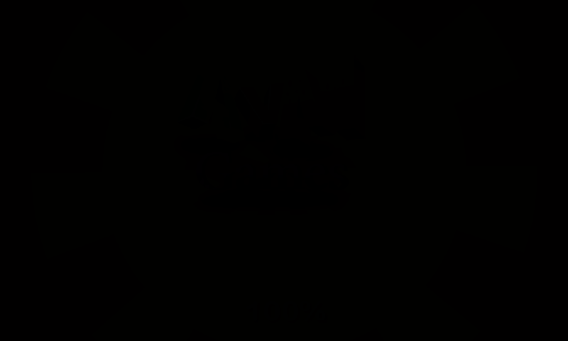逃脱三叶草男孩 截图 7/8