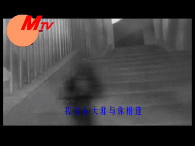 林忆莲：飞的理由（不详） 截图 1/8
