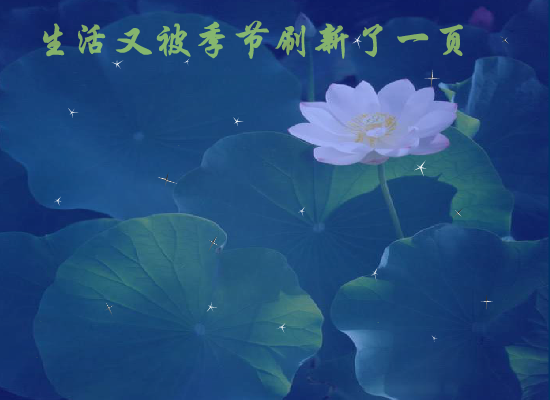 岁月留声（m_zh2000） 截图 2/4