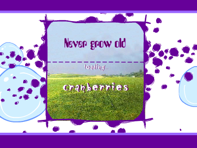NEVER GROW OLD 截图 1