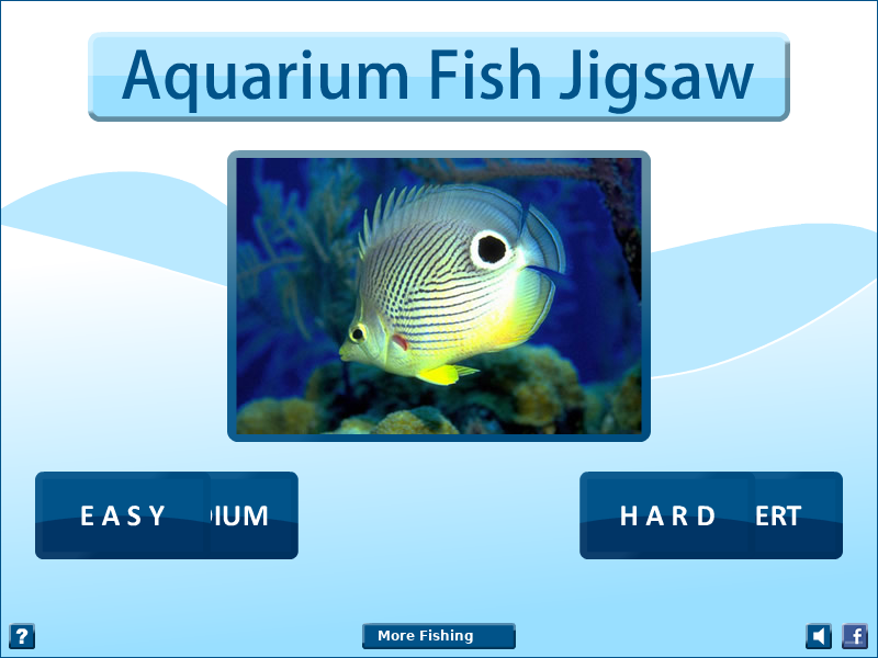 水族馆鱼类拼图 截图 8/8