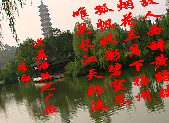 放飞网络（边达） 截图 7/8