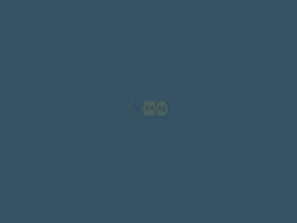 跳水挑战者 截图 7/8