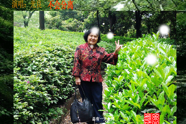 不会分离（sz_yxf） 截图 3/8