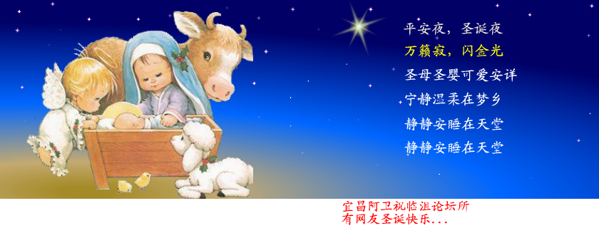 祝临沮论坛所有网友圣诞快乐（TOP阿卫） 截图 4/8