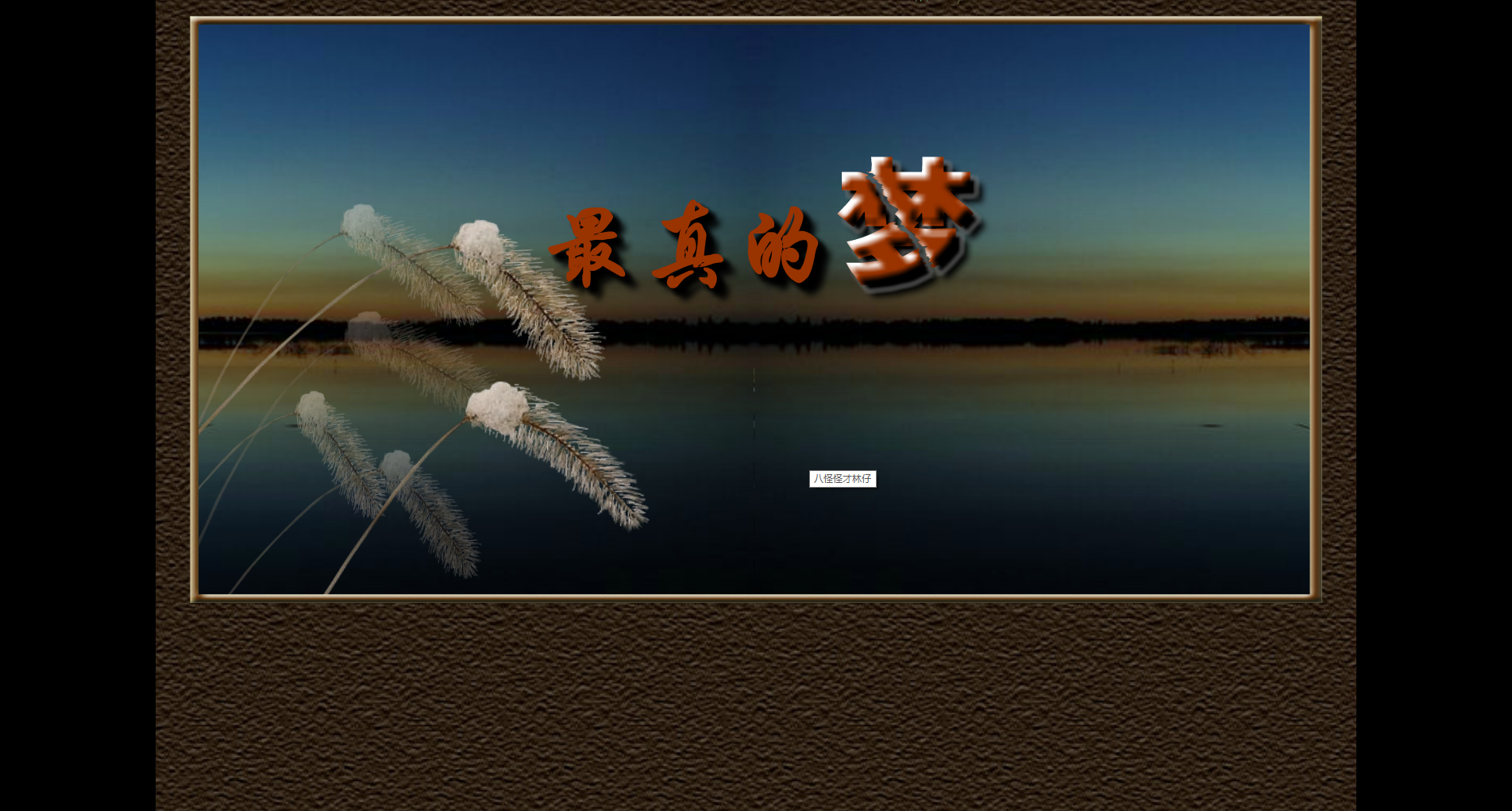 最真的梦 截图 2