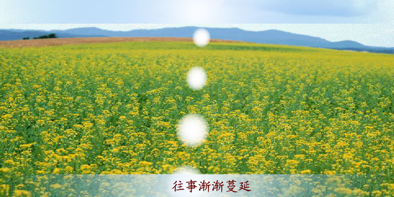 游鸿明 爱一回伤一回（未知） 截图 7/8