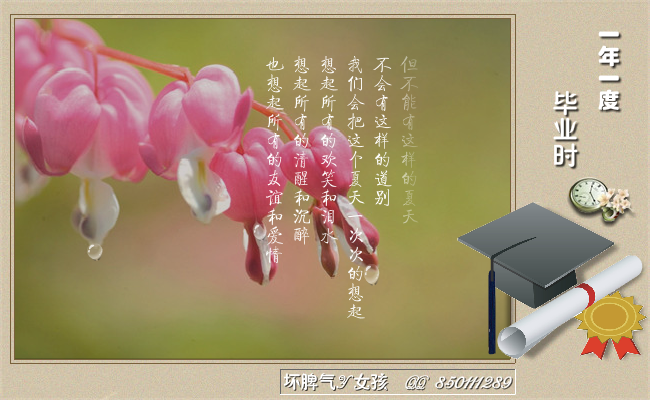 一年一度毕业时（坏脾气女孩） 截图 1/8
