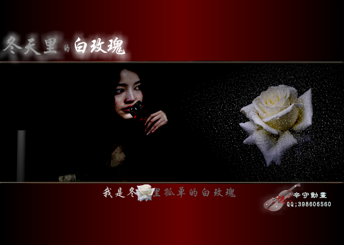 冬天的白玫瑰（东华） 截图 1/4