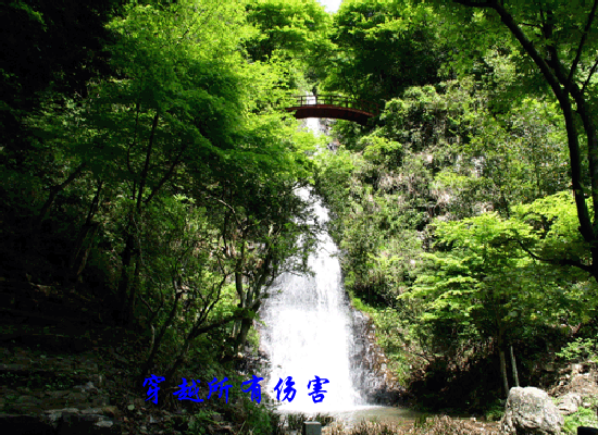 绽放（绿叶） 截图 7/8