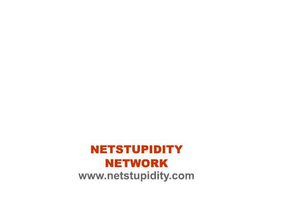 排雷尖兵（netstupidity.com） 截图 1/4