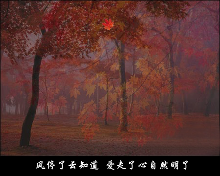 答案随着枫叶飘（mszxf） 截图 6/8