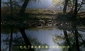伤心1999（不详） 截图 4/7
