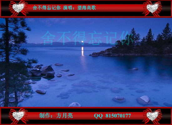舍不得忘记你 截图 1