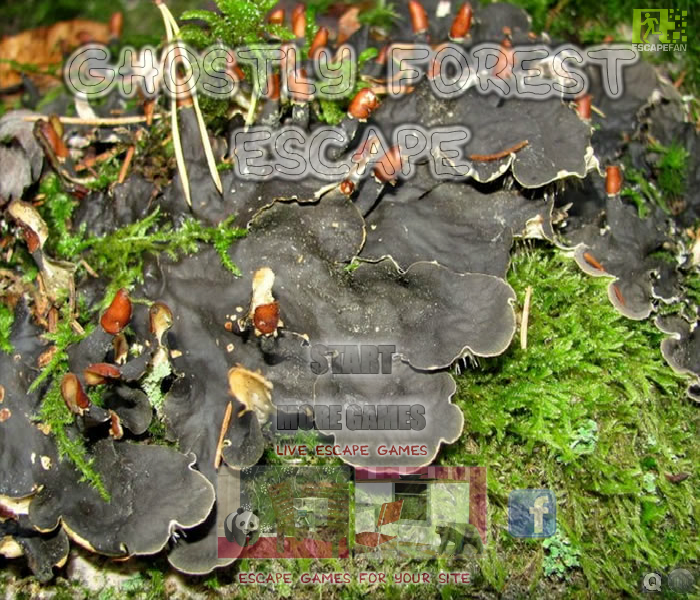 逃出幽灵森林 截图 5/5