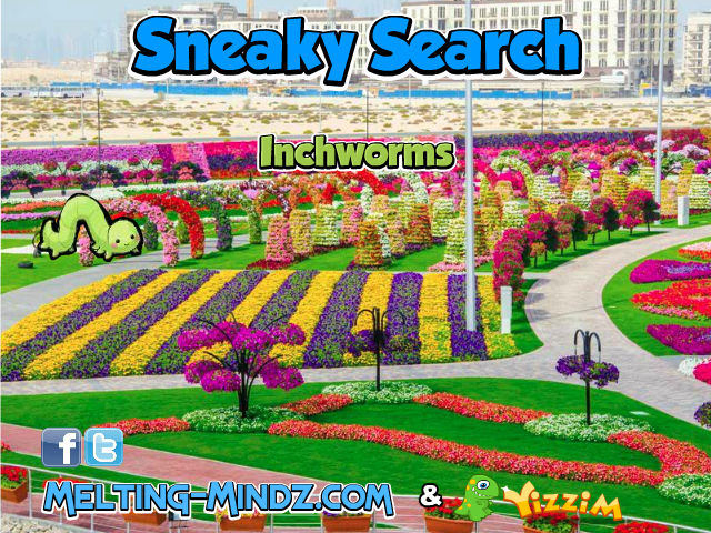 D95D-WEZ0-Z1WA 截图 2/3