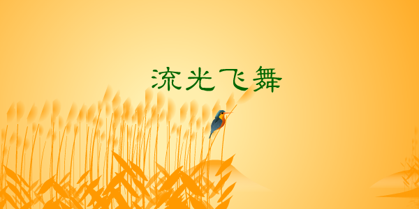流光飞舞 截图 1