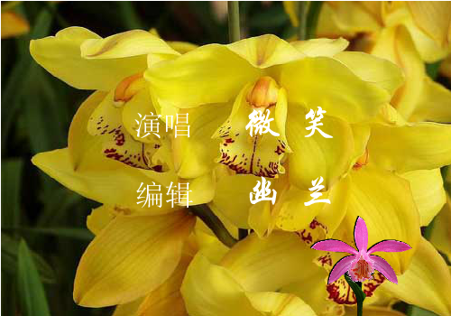 一线情缘（潇洒回眸） 截图 2/2