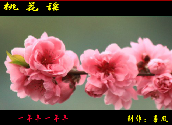 桃花谣（指间春色（春风）） 截图 5/8