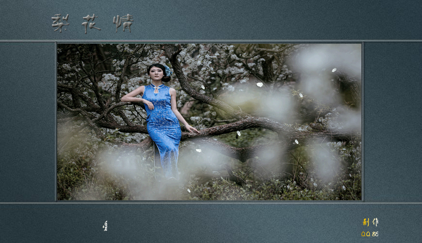 梨花情（白雪） 截图 6/8
