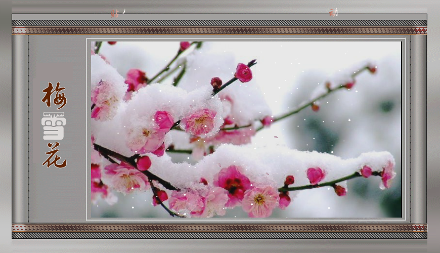 梅花雪（baixue023） 截图 3/8