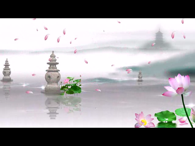 荷花1（钟华锦绣） 截图 5/8