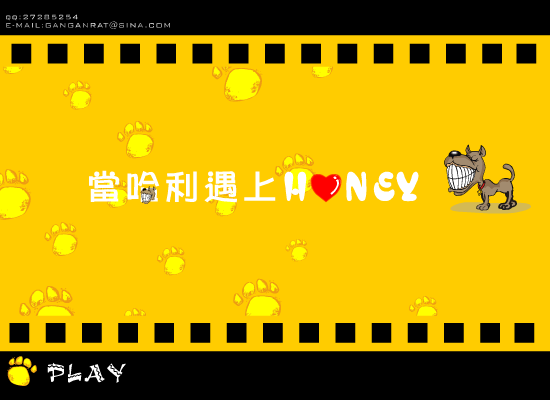 当哈利遇上honey（绿野寻踪） 截图 2/8