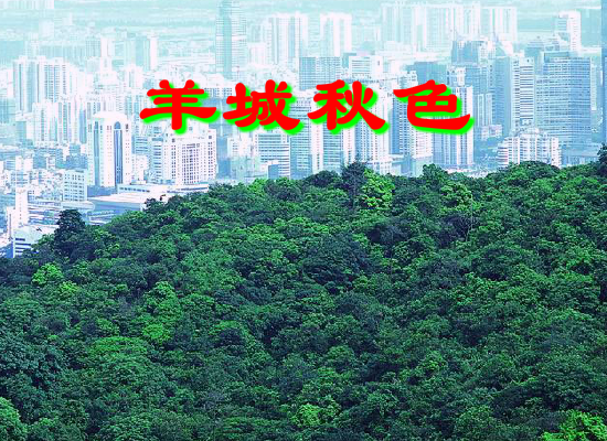 羊城秋色（Blue） 截图 2/5