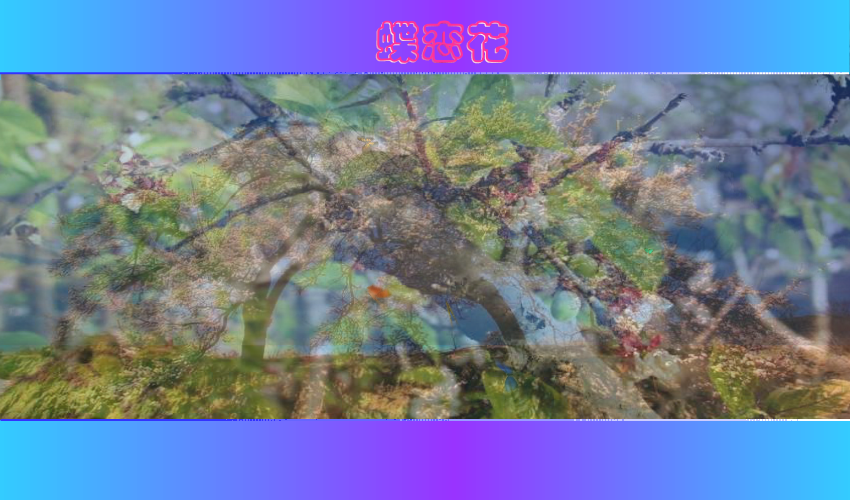 蝶恋花（一缕幽香） 截图 3/8