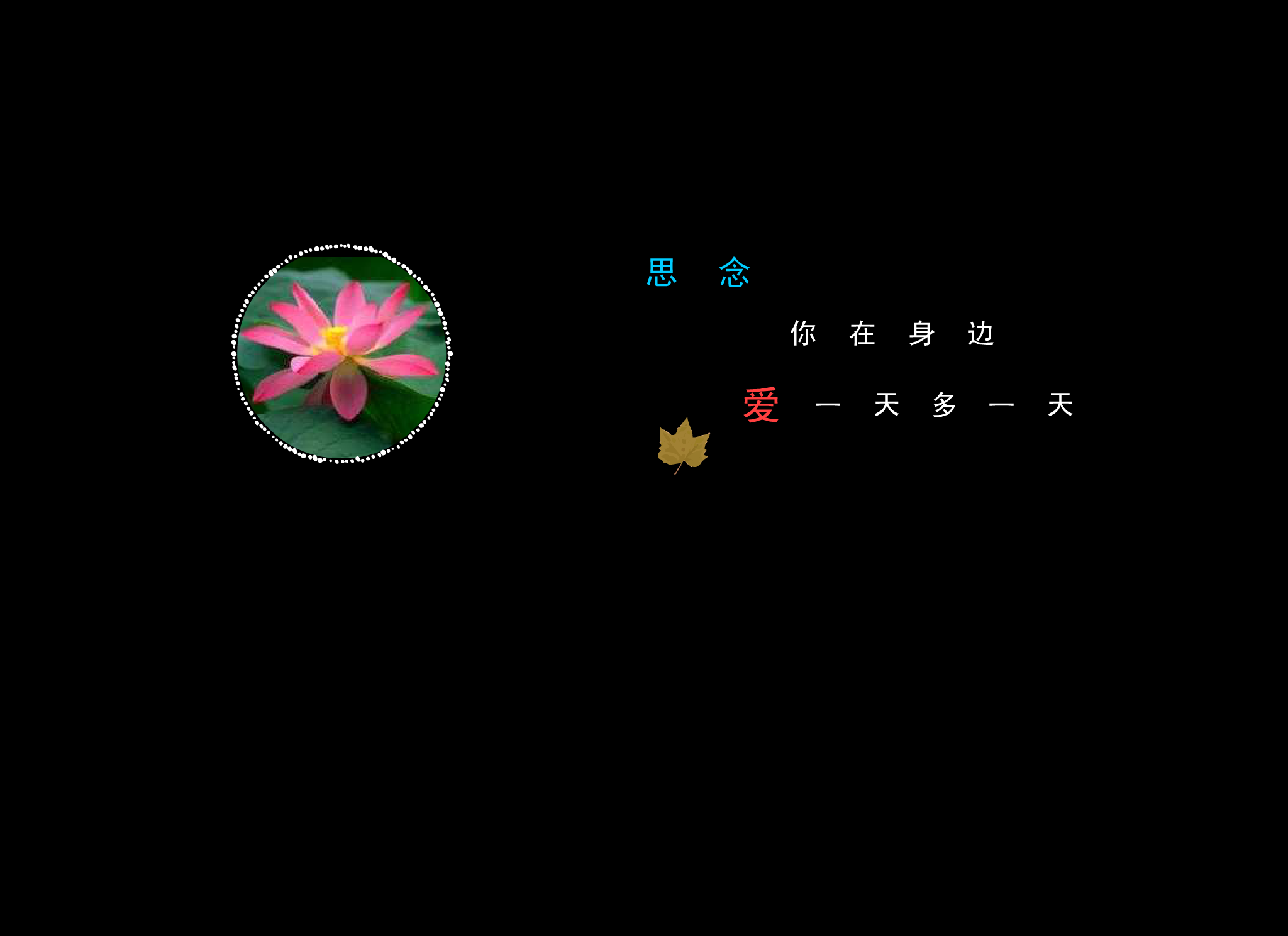 爱一天多一天（蓝骑士） 截图 2/3