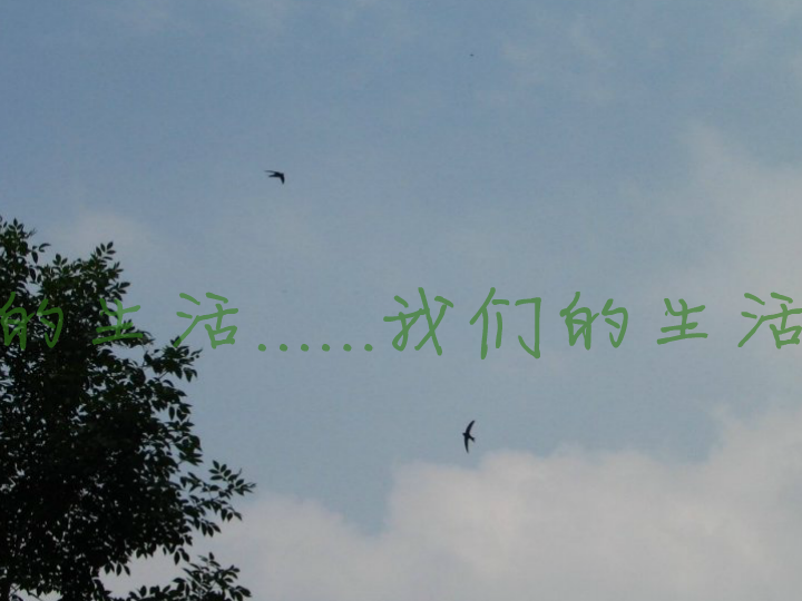 感恩生活（hj179） 截图 4/8