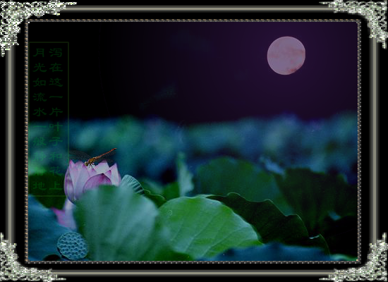 荷塘月色（夜色迷离） 截图 2/4