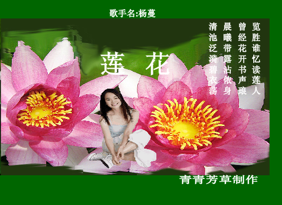 莲花 截图 1