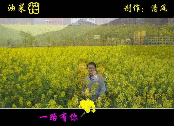 油菜花（清风） 截图 3/8
