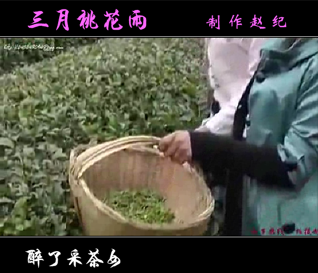 三月桃花雨（赵纪） 截图 3/8