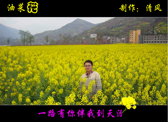 油菜花（清风） 截图 7/8