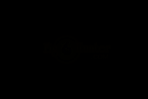 SXCM-NZWP-RWQQ 截图 2/8