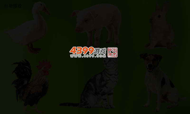 0XKC-XC61-R1MH 截图 2/3