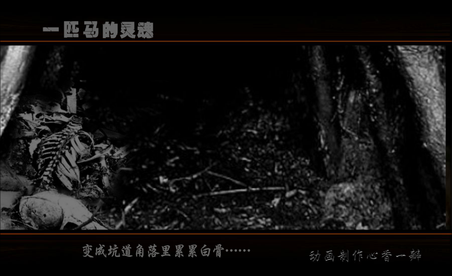 一匹马的灵魂（mmmm1234） 截图 3/8