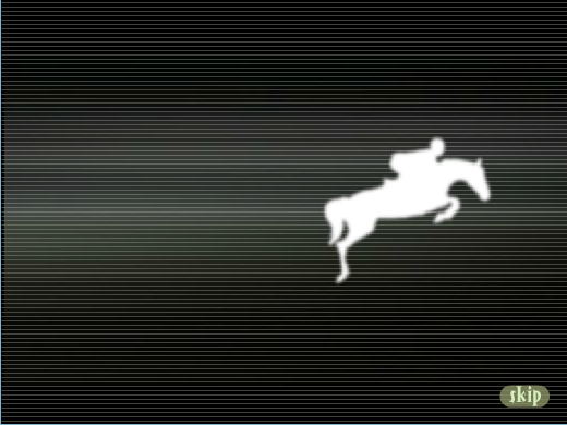 马术表演 截图 4/8