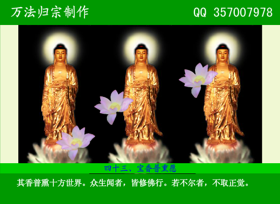 阿弥陀佛四十八大愿（万法归宗） 截图 8/8