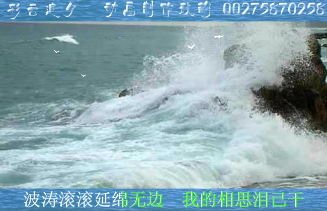 彩云追月（秋韵1963） 截图 6/8