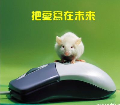 不能没有你[那英]（anjt） 截图 2/8