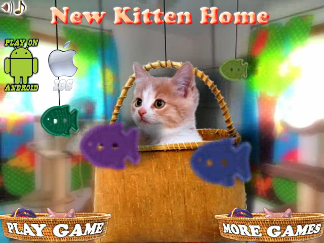 帮猫咪找玩具 截图 7/8
