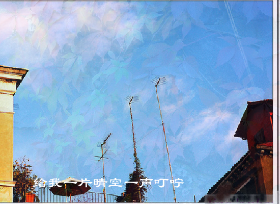 潮湿的心（ztshbzx） 截图 3/8