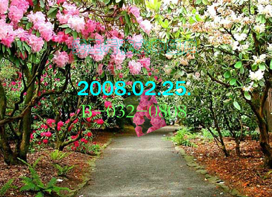 雾里看花（Blue） 截图 1/8