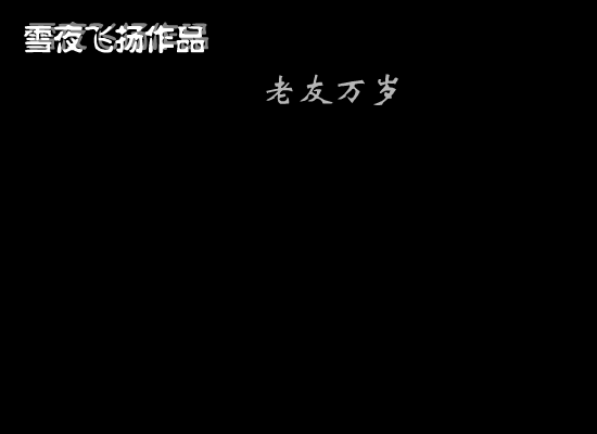 老友万岁（雪夜飞扬） 截图 7/8