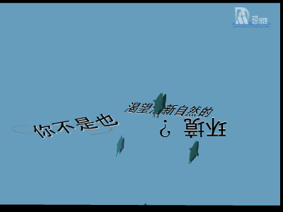爱它，请给它自由（琼雅艺术设计空间） 截图 2/8