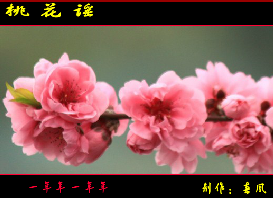 桃花谣（指间春色（春风）） 截图 3/8
